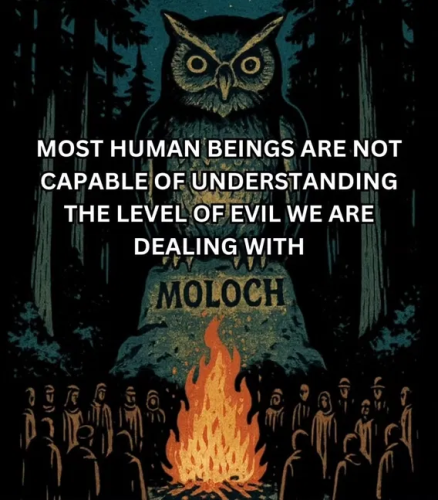 image_2025-07-01_063512269