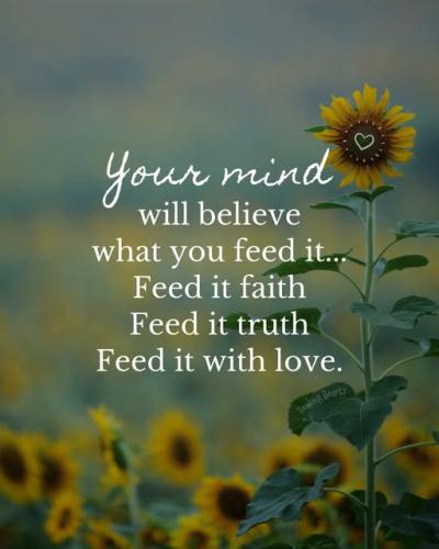 516607140_1291595866304429_7611594618154281469_n