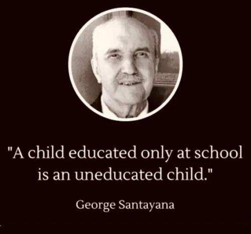 educated-at-school-uneducated