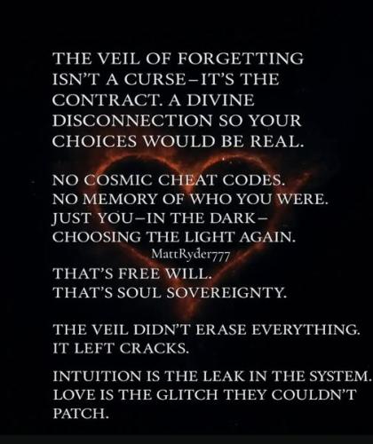 518250160_1277708030507419_1651782061794389227_n