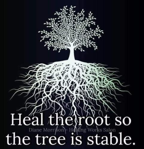 98a8fc1bc5cc24fde623ada7c797c217