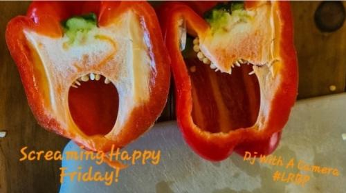 Screenshot_20250718_071351_Gallery