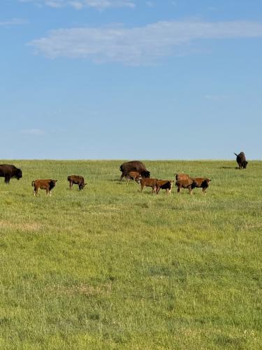 AE45DDC2-64EB-4029-BA07-85C3CFE1D513