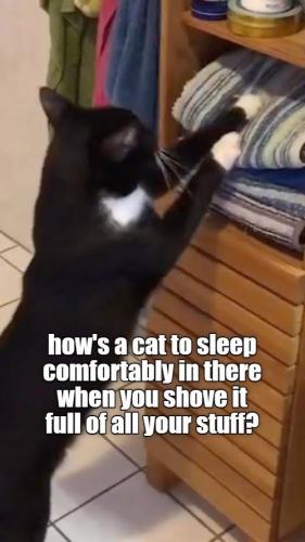 s-cat-sleep-comfortably-there-shove-full-all-stuff