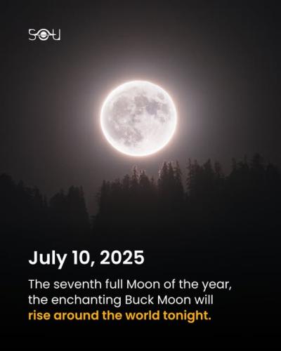 517038294_1289441646162767_406956964292009420_n