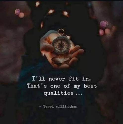 517590821_748190011430527_4058443024010373856_n