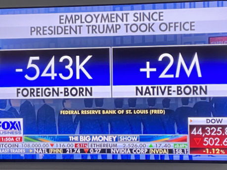 illegal immigration515