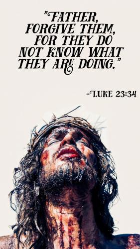 dd8444586b74d07ce62c2aa4a4a8db29