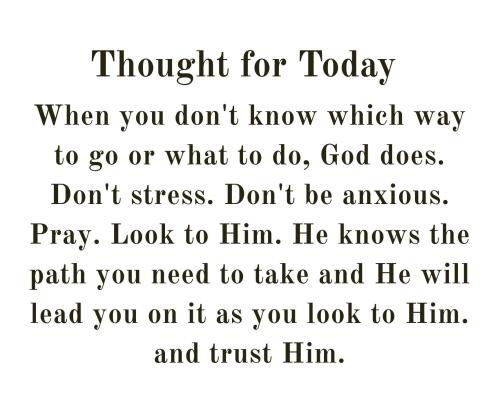 514197959_747062051161477_819854741206639113_n