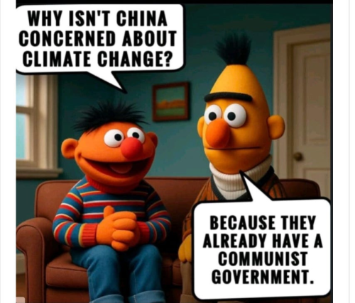 image_5E165A56-D015-4087-BAD8-0FD63A1E6DF7