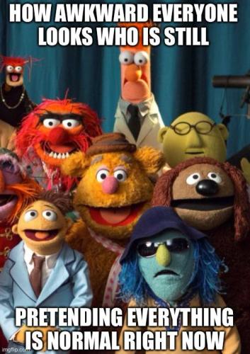 IMG_20250727_081657_140