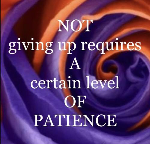 8738bdc6e50d7777d3b239da99f0cbe0