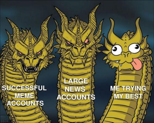 sucessful meme accounts