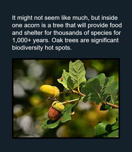 516747734_122192798600053343_2221975109106037521_n