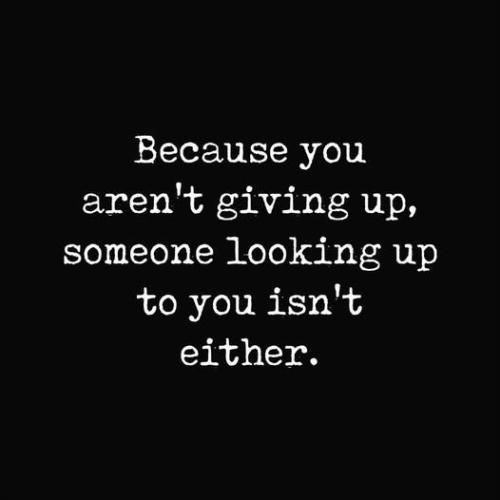 515442138_2212189952554369_2418831773751892303_n