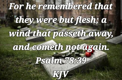 8c224a7c-cc0a-4a7e-95e4-e1768738a401