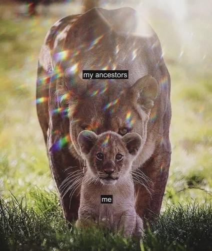 f31dd7654bc30133340902b7ae689dba