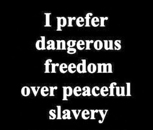 e1302e2fc793563c60c79a59909de75e