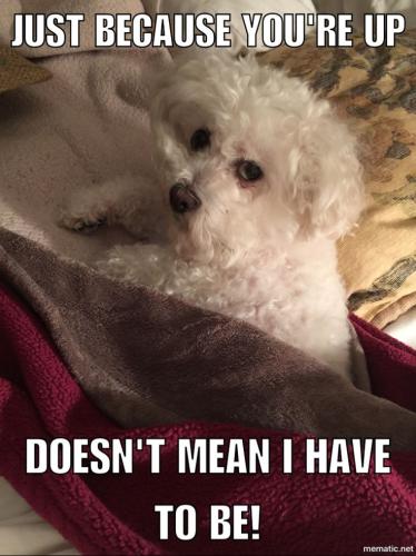 608d2b0cfd6a0953f3895bbf6ad94ef1