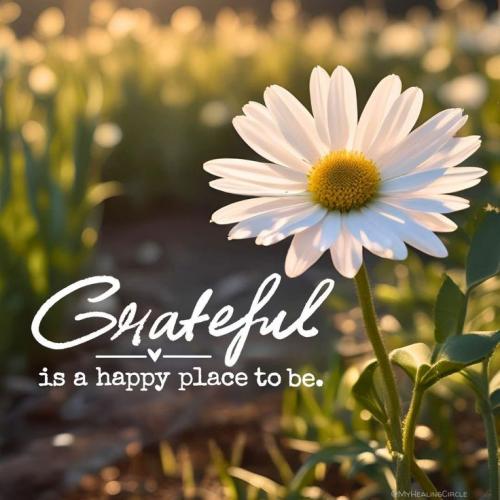 d735a255242b40767994b7dbdbdeeaa4