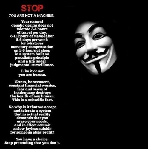 4b0163f953e99bd250f896329c73436a