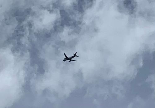 C0B5B219-5CD7-403A-B11E-26B57CE19447