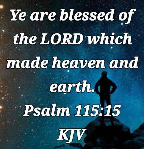 61cb4735-536f-4a23-94a5-b2c016ff5d9f