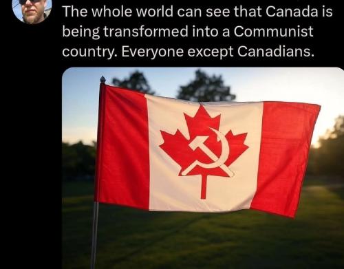 the whole world sees