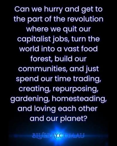 515595217_738574452392083_2508638743017460389_n