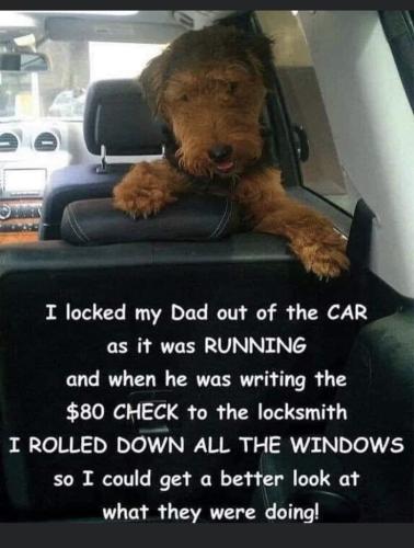 9bfa6e27dfc182bbd7052ec836752105