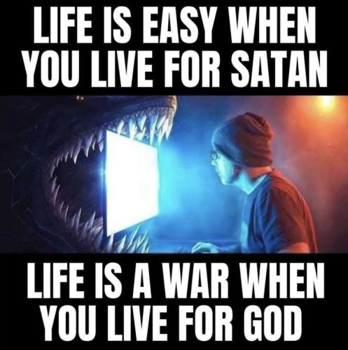 fb4b44f1ca55a8b3199251cf4a84e12a