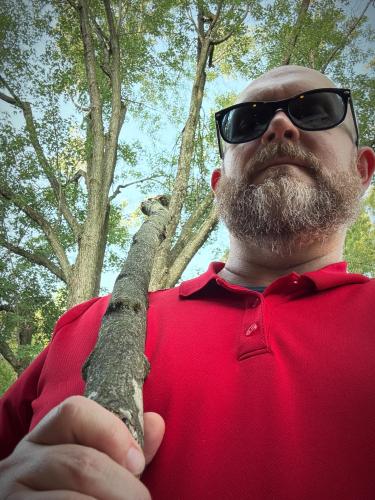 19:08:28 GMT-0500 (Central Daylight Time).image