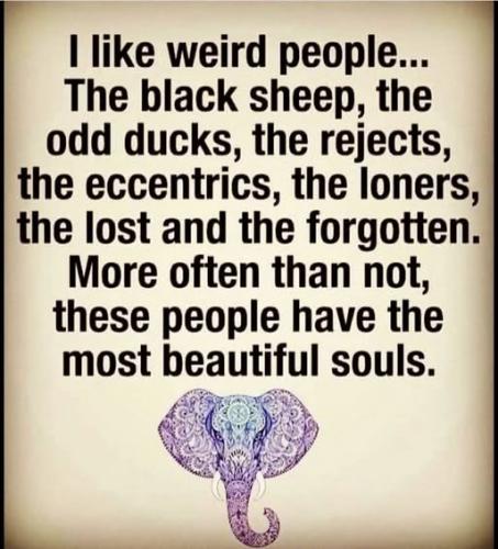 518483261_750503194532542_9140704888542387342_n