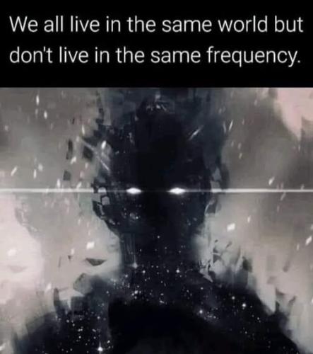 517425707_743518935230968_2918290346411840861_n