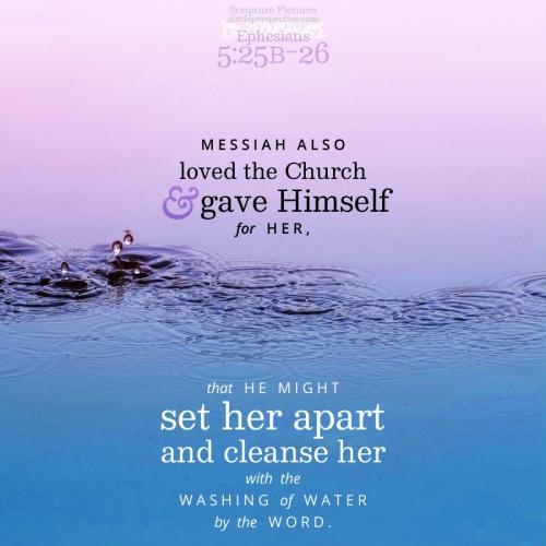 eph-5-25b-NKJV-unsplash