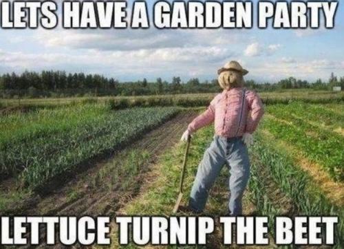 Screenshot_20250701_145454_Gallery