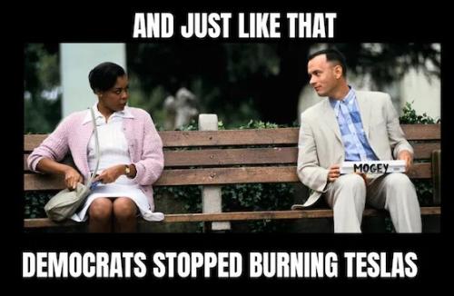democrats-stop-burning-teslas