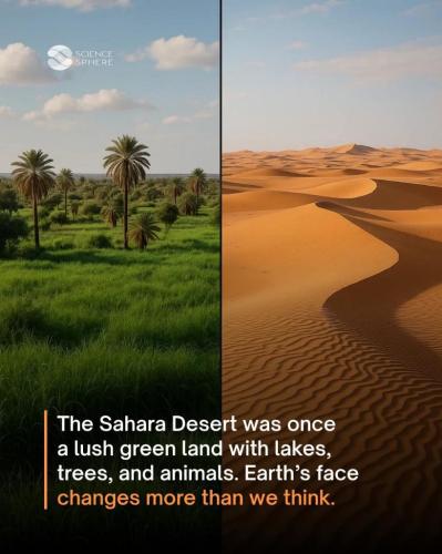 6f39baf7-e25d-4692-ba21-f716c0ebbea1