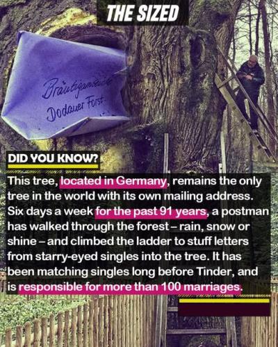 524590399_1358969126236647_7981471676895529971_n