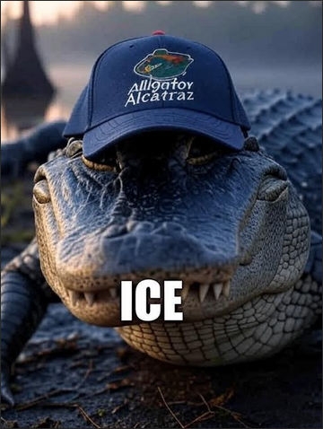 allagator alcatraz01