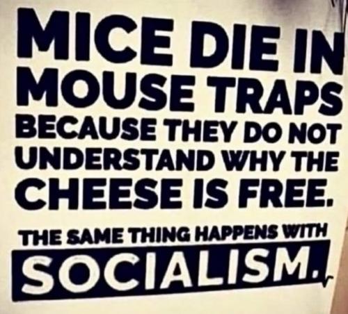 CF2F3EC5-D8EC-46AB-A980-4229DD3B51B5