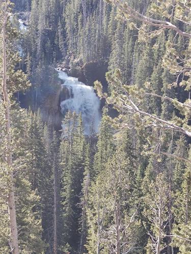 IMG_20250702_085825237