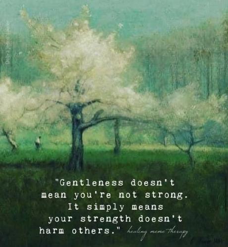 524341207_792728456653150_4116418211262089354_n