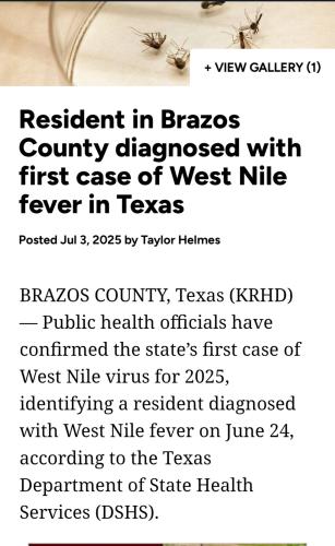 Screenshot_20250704_091515_25 News(1)