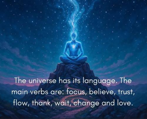 522867635_755954473987414_2115543371043661810_n