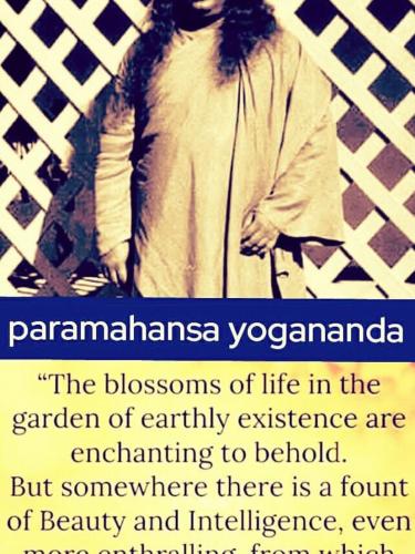 19EA111A-82DE-4885-AAEE-74FDF53A74BE