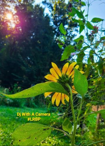 Screenshot_20250727_142032_Gallery