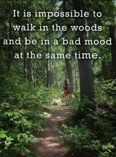 518342569_1309049111229046_7181416230695574516_n