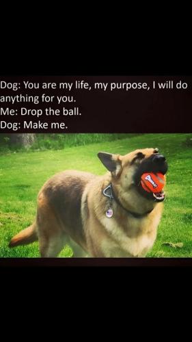 523187612_1917856009067517_6022505292069274146_n