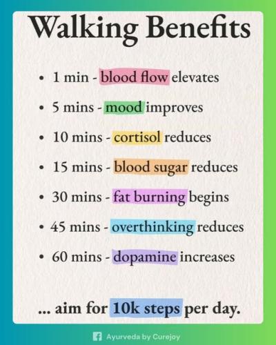 ,     ,    324779683_12676030304